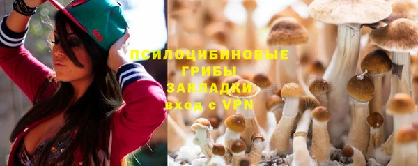 сатива Михайловск