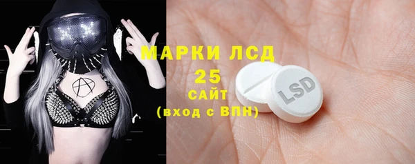 ECSTASY Михайлов
