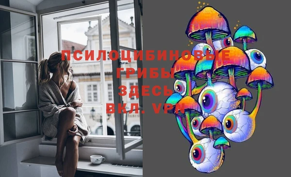 сатива Михайловск
