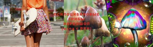 сатива Михайловск