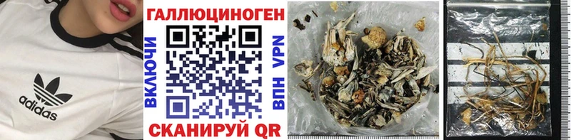 mega маркетплейс  Братск  Псилоцибиновые грибы Psilocybe 