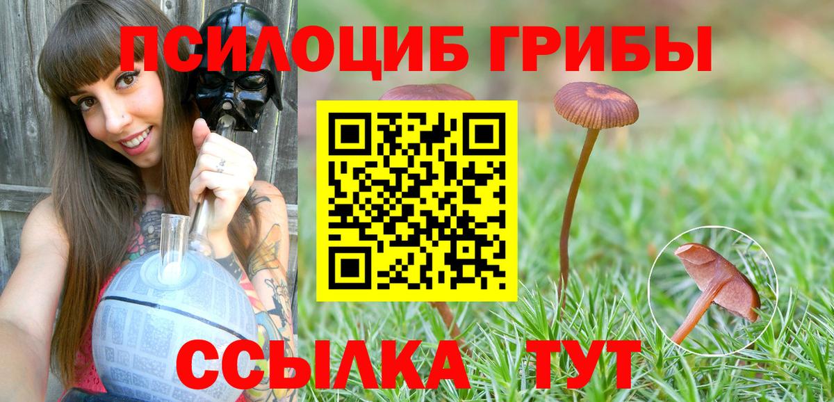 Галлюциногенные грибы мицелий Братск