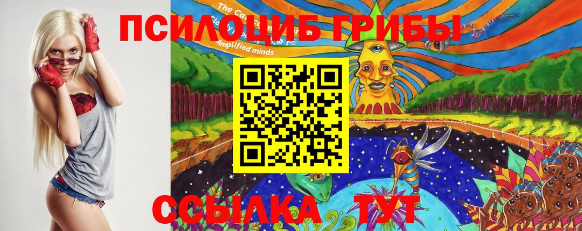 Псилоцибиновые грибы Psilocybine cubensis Братск