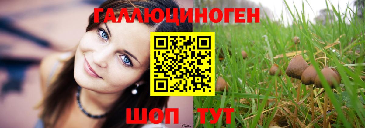 Галлюциногенные грибы GOLDEN TEACHER  Вход с VPN  Псилоцибиновые грибы MAGIC MUSHROOMS  Братск 